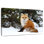 Winter Red Fox