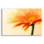 Epic Art «Orange Flower On Orange» par Tom Quarterm «Orange Flower On Orange» par Tom Quartermaine