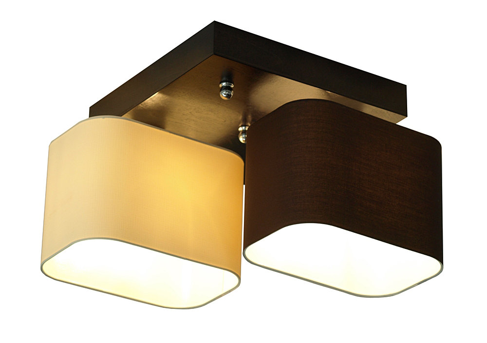 Judkins 2-Light Semi Flush Mount