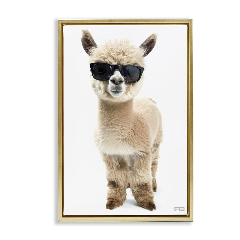 «Cool Alpaca & Glasses», toile flottante encadrée par Roozbeh Bahramali, Cadre flottant métallique doré, H 31 po x l 21 po