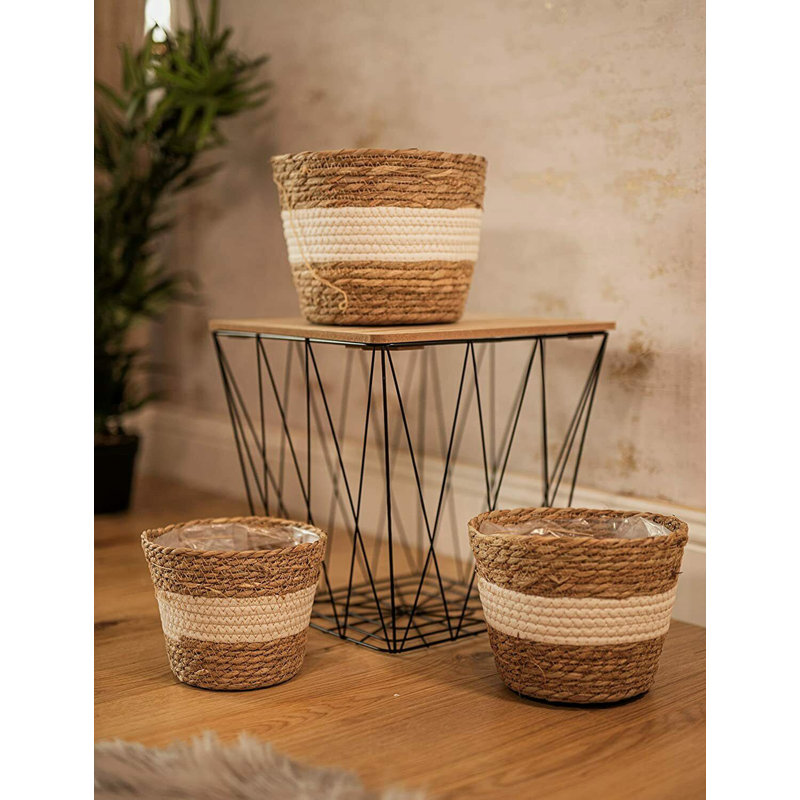Teddy Plant Pot