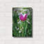 Art mural Ebern Designs «Flower Iv» par Epic Portfolio-1329587779