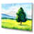 Toile tendue