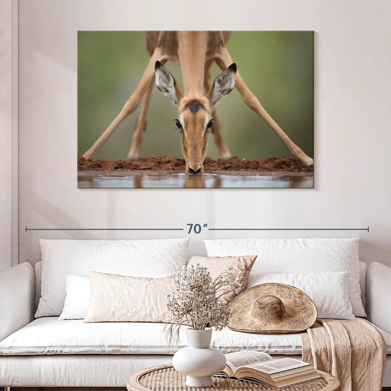 Brampt Drinking Deer, 32" H x 48" W