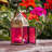 Mini Square Glass Tealight Lantern-110273552