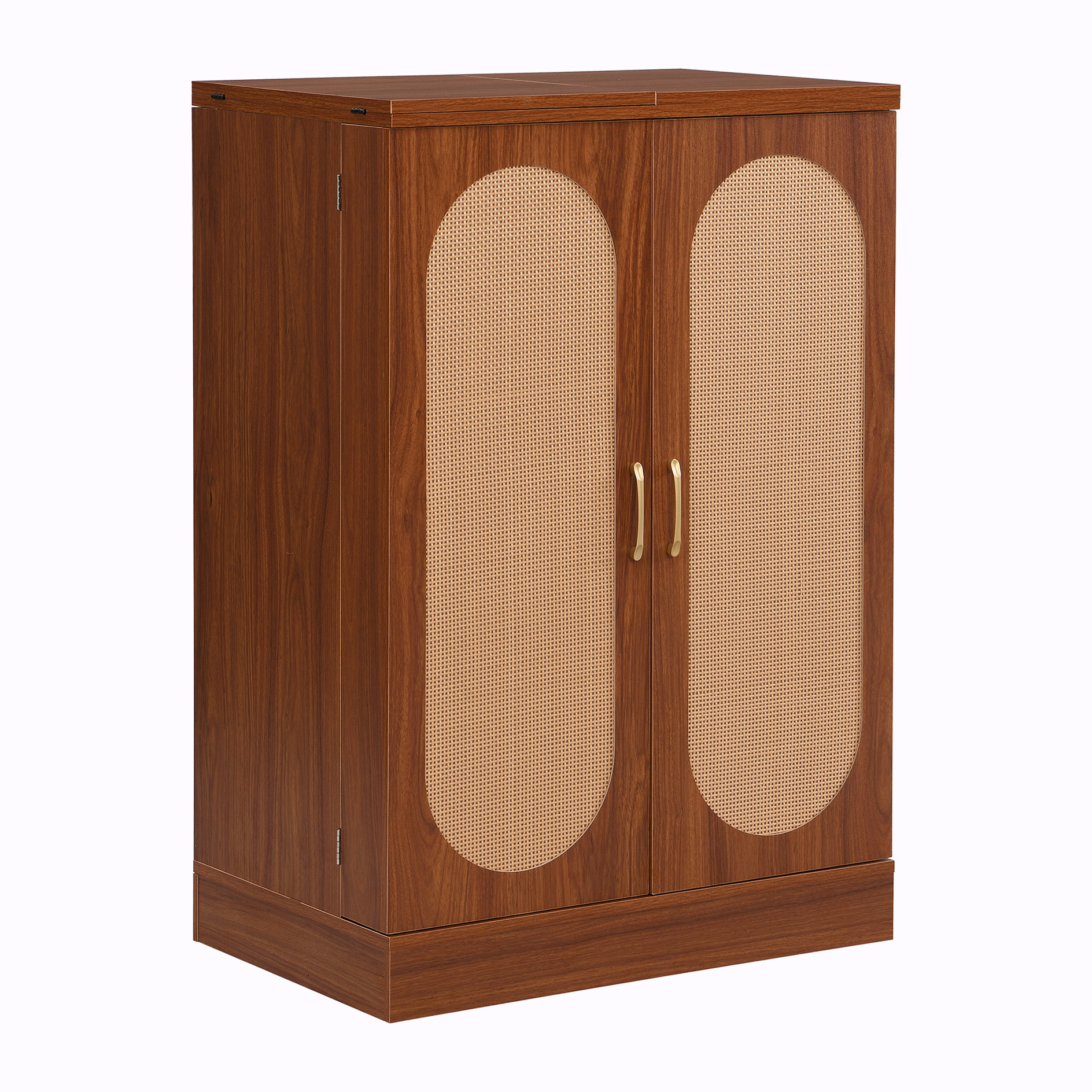 Bayou Breeze 2-Door Accent Storage Cabinet | Wayfair