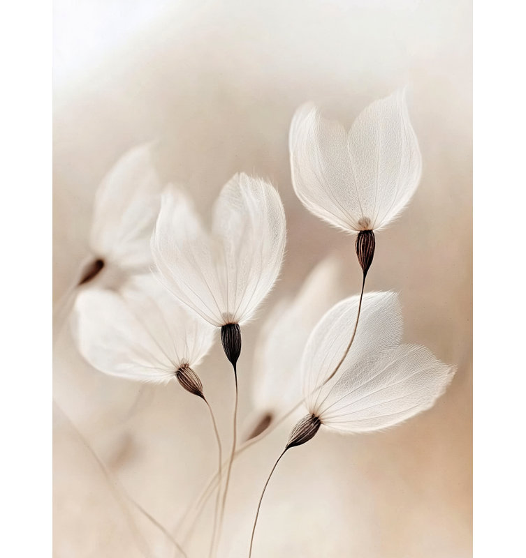 Ethereal Blossoms by Other Artist, Framed Canvas, 32 × 48, Gold