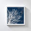 Coastal Coral II par Lanie Loreth - Peinture-1333476104-1333476098