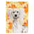 Chien chinois à crête blanc sélectionné