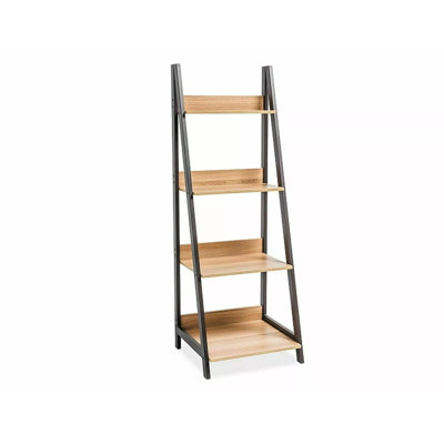 Trever 147 cm H x 52 cm W Steel and Iron Ladder Bookcase