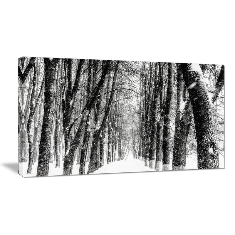 Landscape Snowy Forest Black and White Canvas Photograph - Snowy Forest, 28" H x 60" W