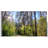 71"x138" Retractable Manual Side Awning Screen, Upf50+, Printed With Weather- Images, Ideal For Garden And Balcony, Screen Printing, Water , , Creating Private Outdoor Space, Semi-transparent Fabric