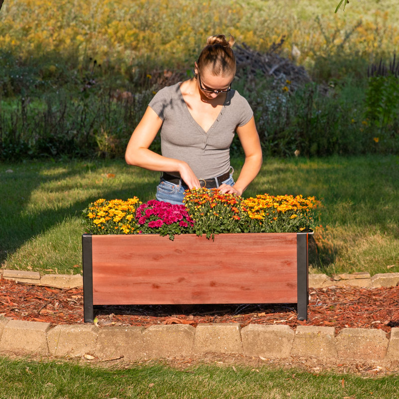 Acacia Wood Rectangular Raised Garden Bed Planter Box with Steel Frame