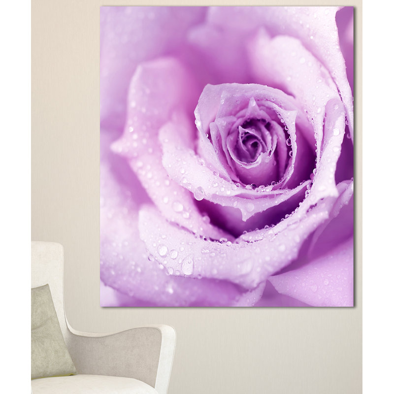 Purple Wet Rose Canvas Print with Wood Frame
