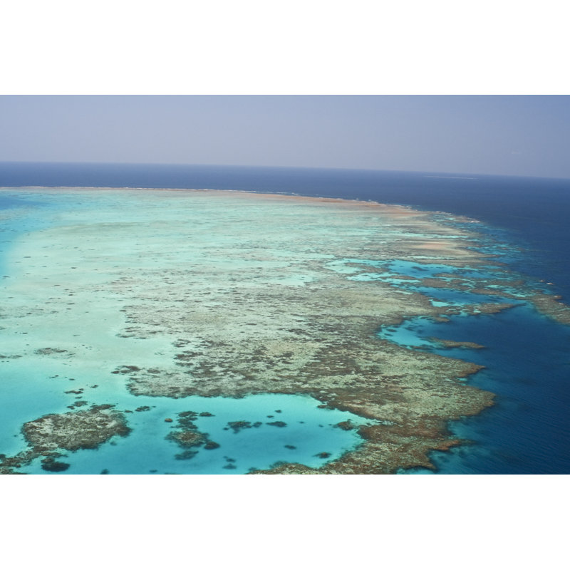 Great Barrier Reef by Kja, 8" H x 12" W