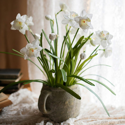 Daffodil Arrangement