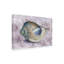 Art sur toile coquille de conque Donna Basile-104111120
