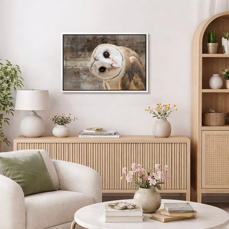 «Bird Bird Curious Owl Look» (Tyto Albahead), tête en gros plan sur toile, H 16 po x l 24 po, Impression encadrée, Blanc