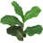 Faux Fiddle Leaf Fig Tree – Tall Indoor Plant in Pot