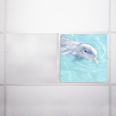 Couvre-lumière décoratif flexible océan