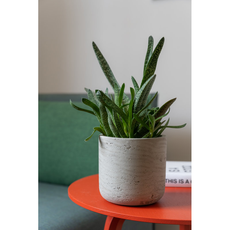 Bohemian Pots Handmade Fiberstone Planter, 6" H x 6" W x 6" D