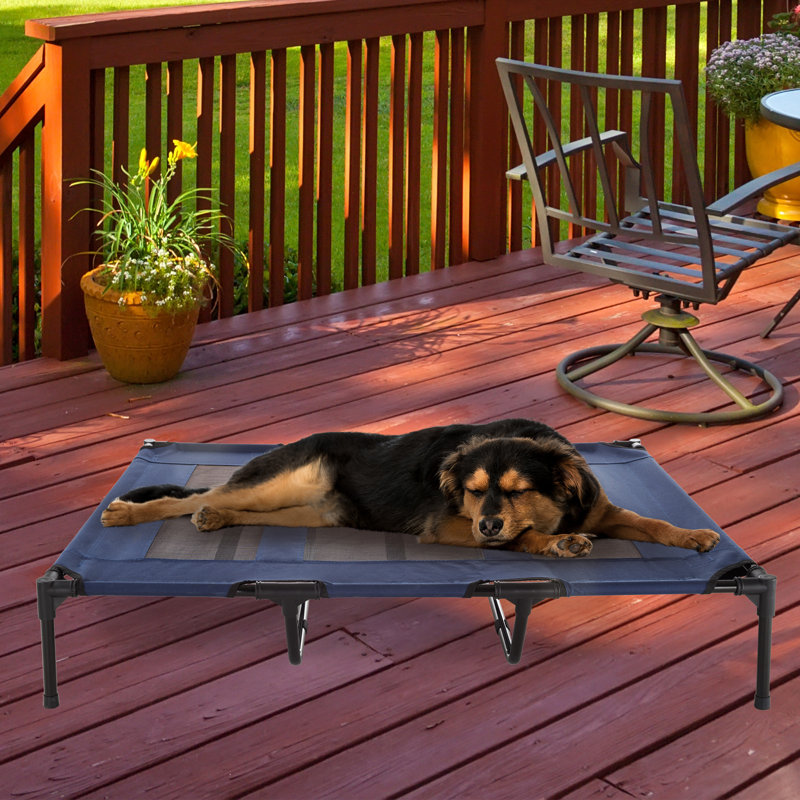 Polyester Pet Bed, 22.86cm H x 121.92cm W x 91.44cm D, Blue