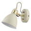 Azalea Spotlight-58964988
