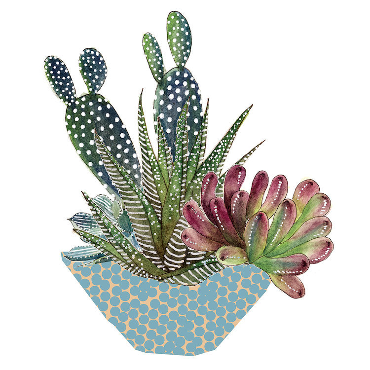 «Cactus Arrangement I» par Melissa Wang - impression sur toile tendue, H 26 po x l 26 po x P 1,5 po