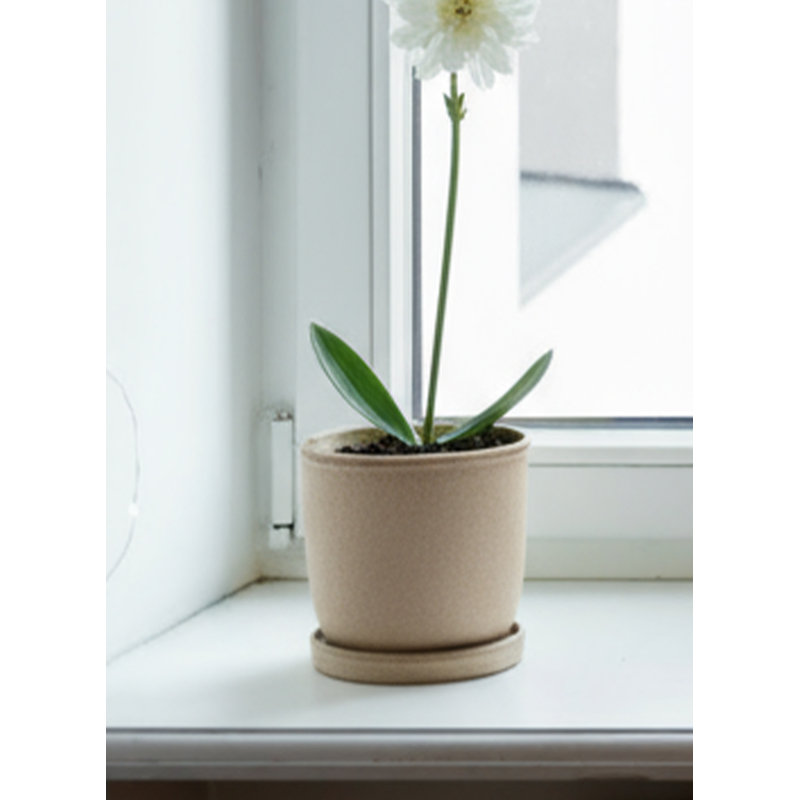  Light Brown Ceramic Planter With Drainage Hole & Saucer, Indoor Plant Pot For Succulents, Herbs & Houseplants, Minimalist Cylinder Design, 5.2" Diameter & 5.3" Tall