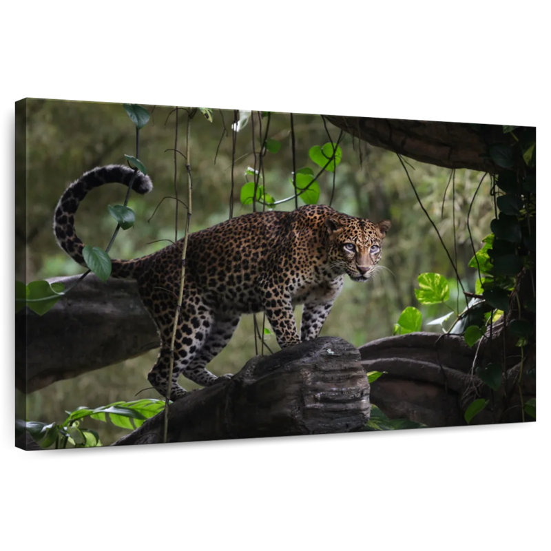 Brampt Indonesian Leopard, 26" H x 39" W