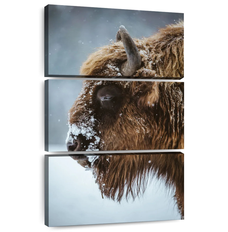 Brampt Snowy Bison, 38" H x 24" W