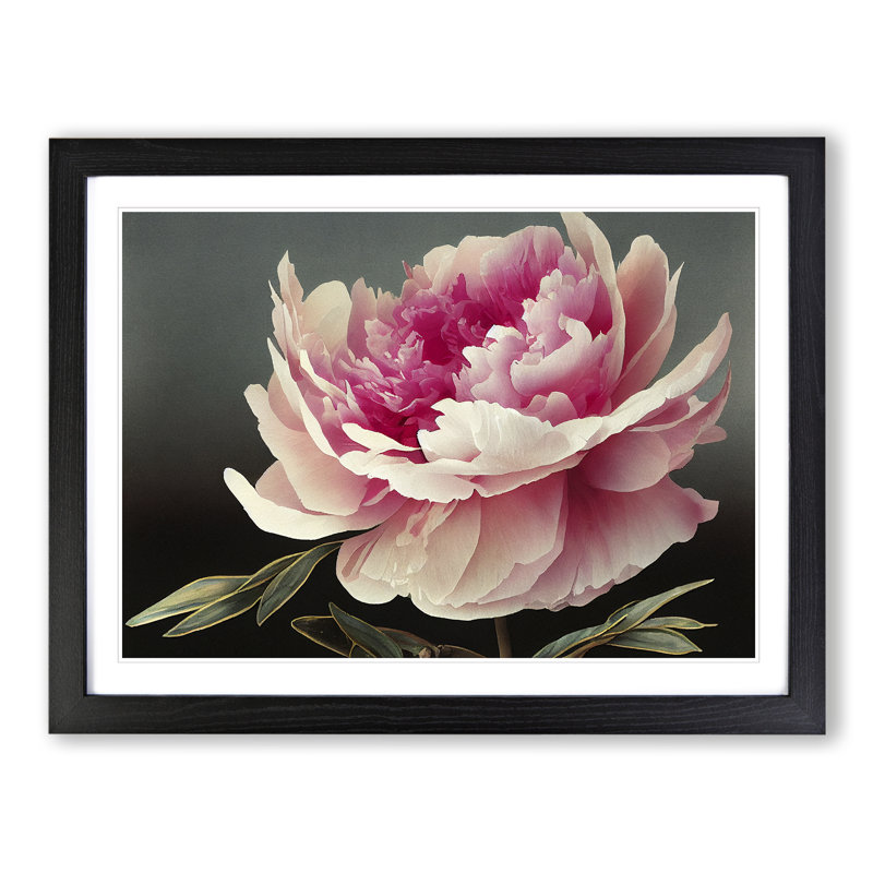 Uplifting Peony Flower - Framed Print, Black, 34cm H x 46cm W x 2cm D