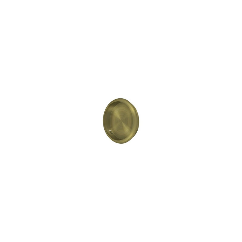 Brass Push/Pull Plate, Antique Brass