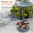 Ringo Plastic/Acrylic Birdbath