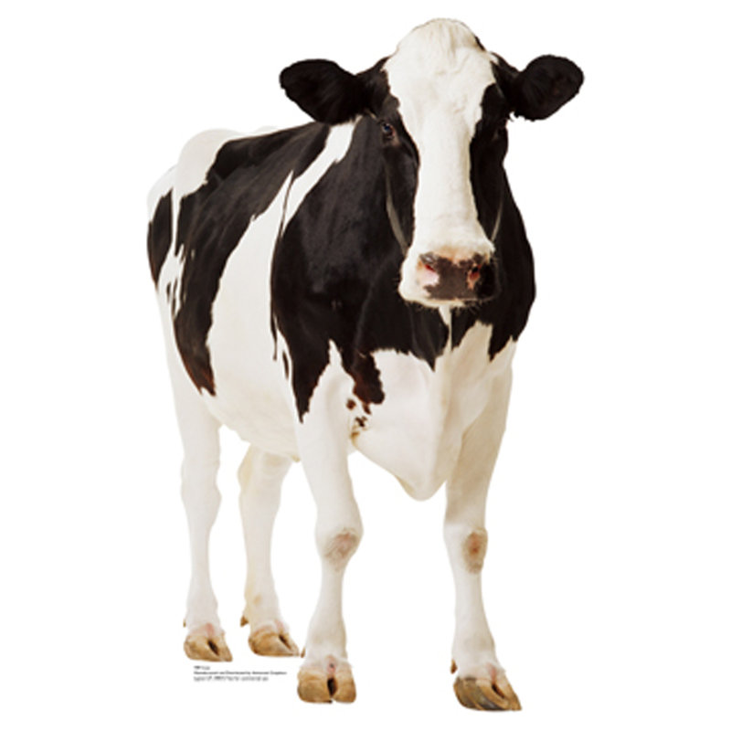 Vache debout en carton taille réelle