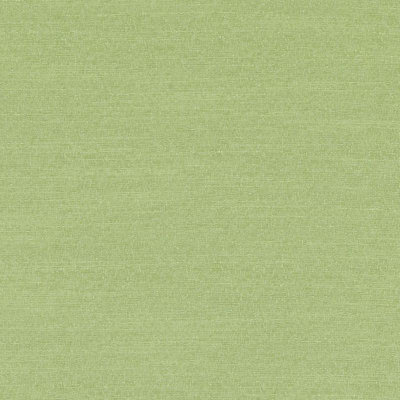 Dexter Solids Fabric