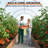 Walk-in Tunnel Greenhouse, Equipped With Galvanized Steel Frames And A Pe Cover-123684856