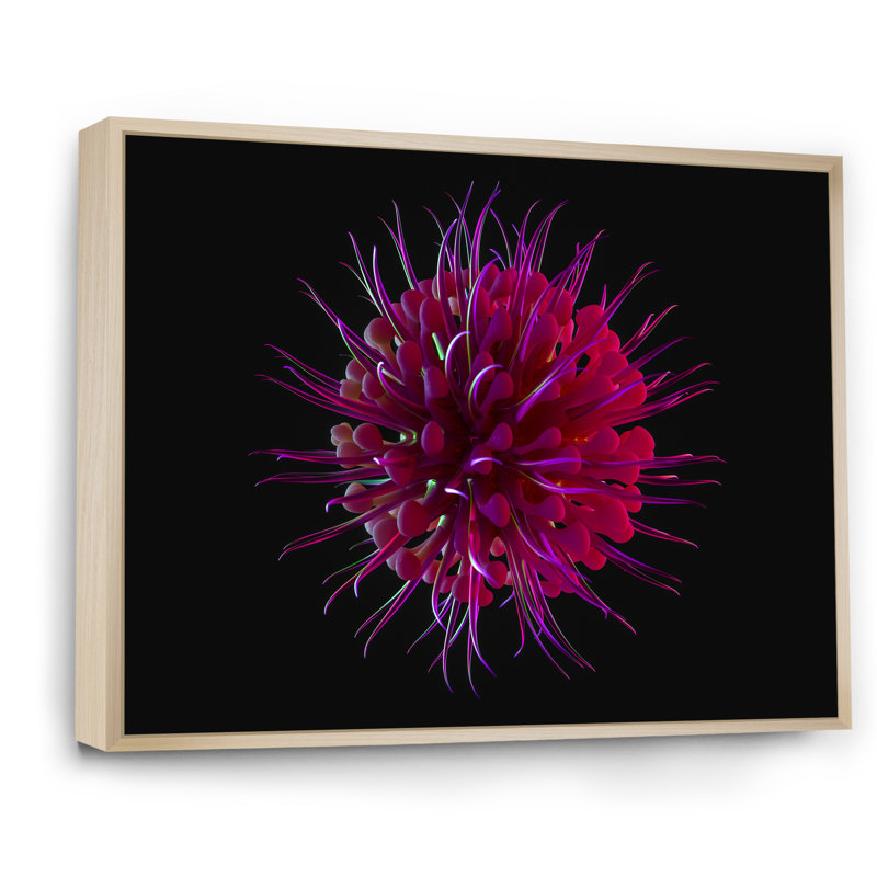 Impression sur toile mauve à motif floral cosmique, H 24 po x l 36 po x P 1,5 po, Cadre flottant brun
