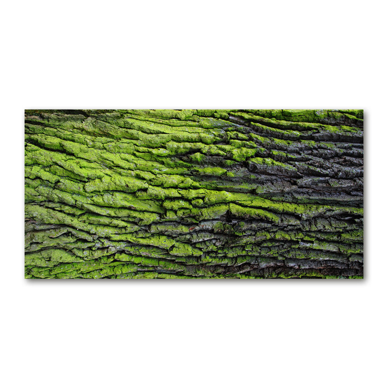 Tree Bark - Wrapped Canvas Print