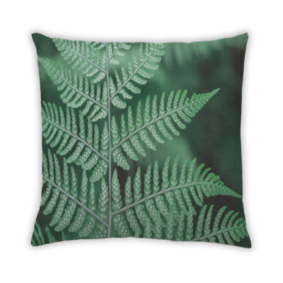 Coussin Plants Leaves 56
