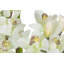 100cm Faux Flowering Plant in Pot
