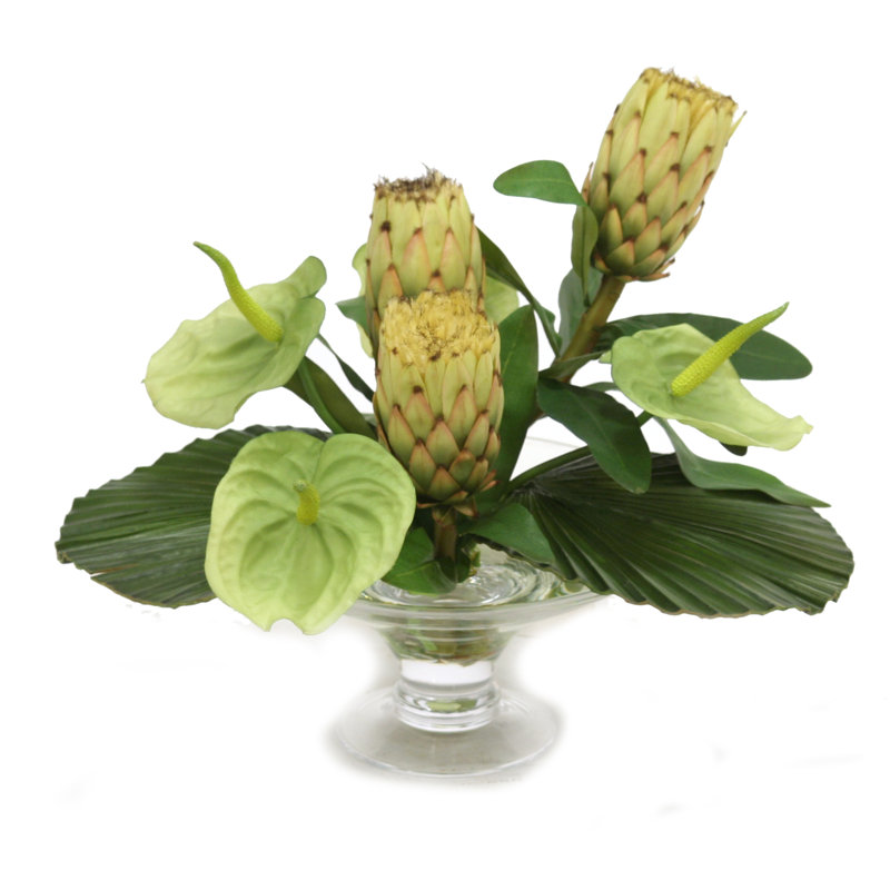 Highgate anthuriums, protease, feuilles en verre, vert