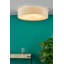 Derbyshire Plastic Flush Mount-1439351822