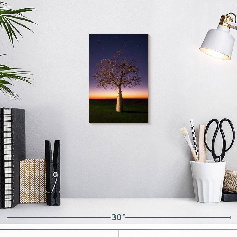 Starry Sky Boab, 12" H x 8" W