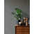 Gris anthracite est en rupture de stock