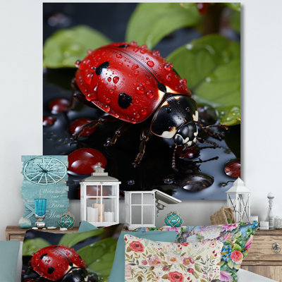 " Lively Ladybug Reflections II "