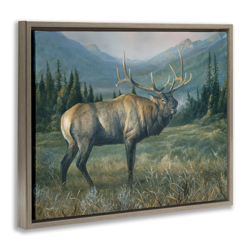 «Powerful Elk in Field» par Laura Mark-Finberg, H 25 po x l 31 po, Cadre flottant noir de jais