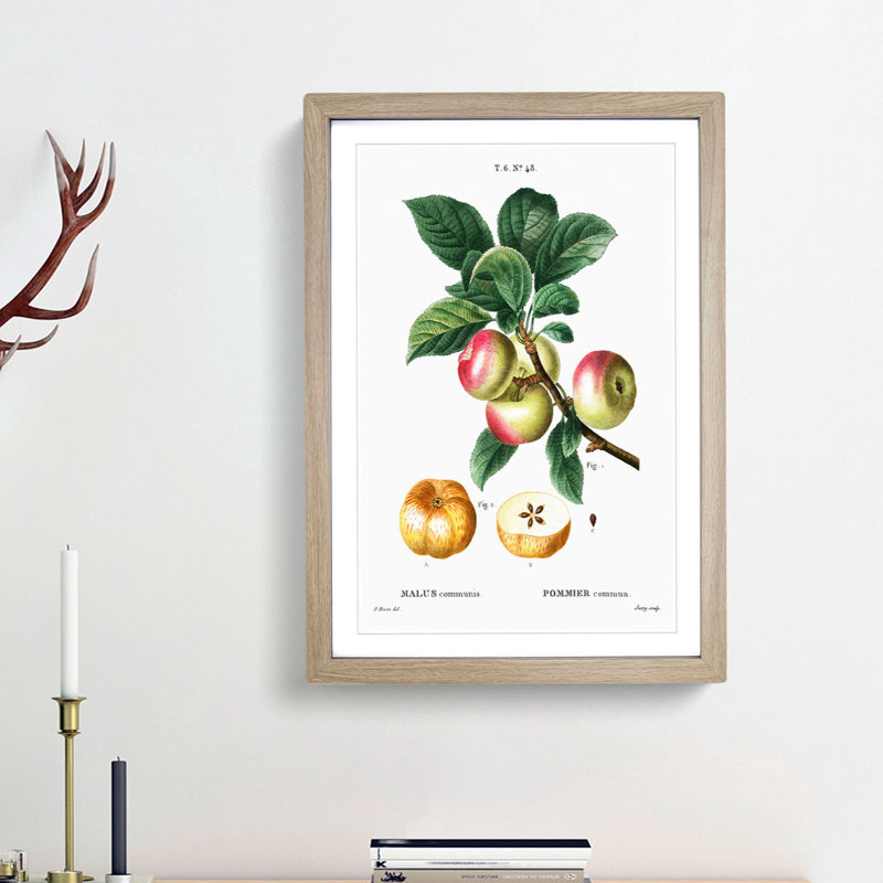 Apple Tree Branch by Pierre-Joseph Redoute - Single Picture Frame Painting, Oak Framed, 45cm H x 33cm W x 2cm D