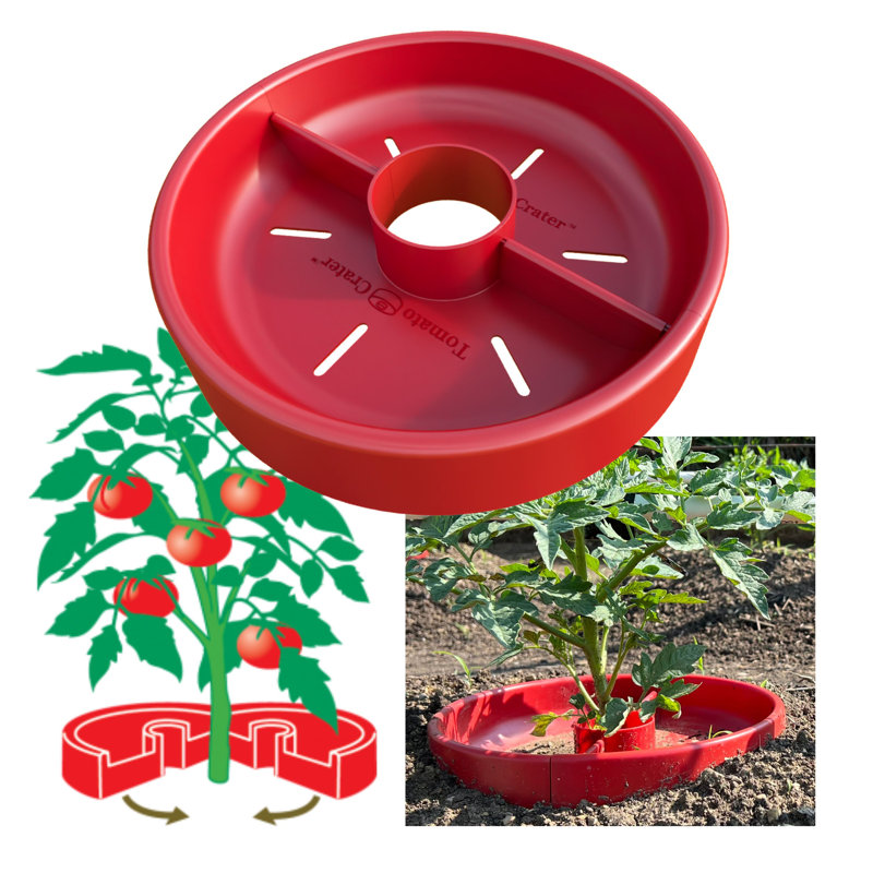 Tomato Crater Gardening Tool - 12” Red Plastic for Healthier Tomatoes 1pk