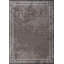 Rapture Area Rug in Gray-431670102
